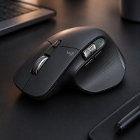 MOUSE